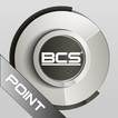 BCS Point Analog