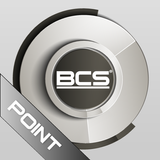 BCS Point Analog Zeichen