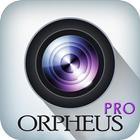 Orpheus Pro आइकन
