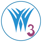 W3AXIS  IT Solutions-icoon