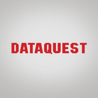 DataQuest 圖標