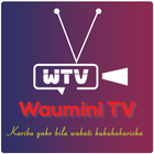 Waumini Tv (WTV) icône