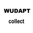 WUDAPT Collect