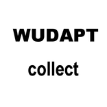 WUDAPT Collect