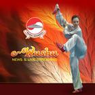 آیکون‌ e-Wushu