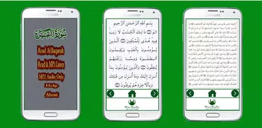 Surah Al Baqara Plus MP3 Audio