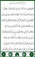 Surah Maryam Plus MP3 Audio screenshot 1