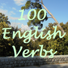 100 English Verbs icône