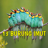 BURUNG IMUT BIKIN GEMES