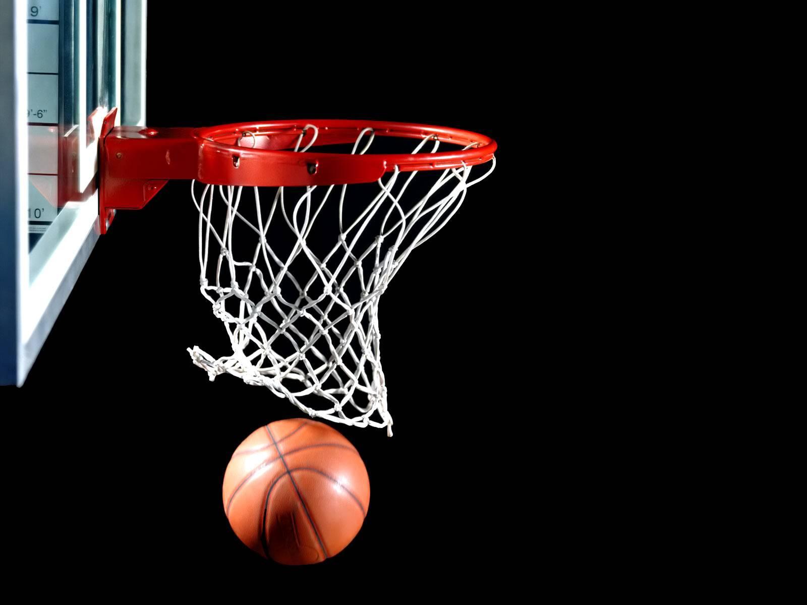 1basket Alpha For Android Apk Download - roblox hoops alpha