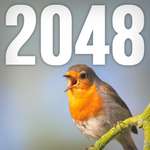 2048 Bird Edition APK