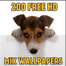 200 Free Mix Wallpapers HD APK