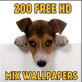 ikon 200 Free Mix Wallpapers HD