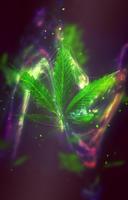 420 Marijuana Weed Wallpapers الملصق