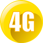 4G Browser icon