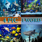 4 PIC ONE WORD иконка