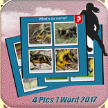 One word Four pics 2017