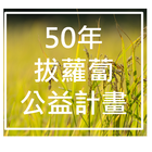 50年拔蘿蔔計畫 icône