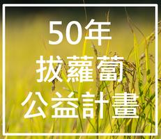 50年拔蘿蔔計畫-poster