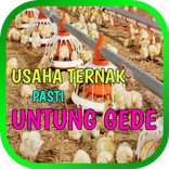 6 USAHA TERNAK UNTUNG BESAR