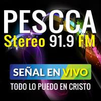 PESCCA STEREO Cartaz