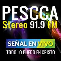 PESCCA STEREO 截图 3