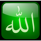 99 Names of Allah With Meaning icône