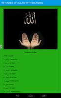 99 Names of Allah With Meaning Plakat