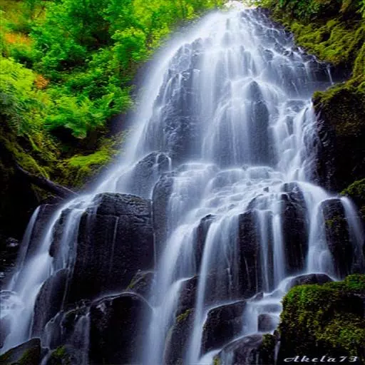 Tải xuống APK Waterfall Live Wallpapers cho Android