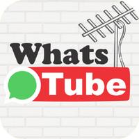 WhatsTube 포스터