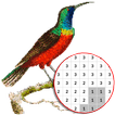 Couleur des oiseaux par nombre - Pixel Art