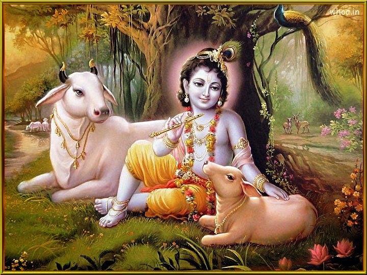 Lord Krishna Live Wallpapers APK for Android Download Lord Krishna Live Wallpapers APK for Android Download