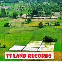 TS Land Records capture d'écran 3