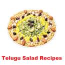 Telugu Salad Recipes APK