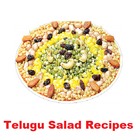 Telugu Salad Recipes icône