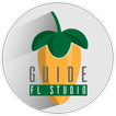 Guide for FL Studio 12
