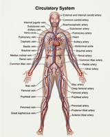 برنامه‌نما Medical Dictionary عکس از صفحه