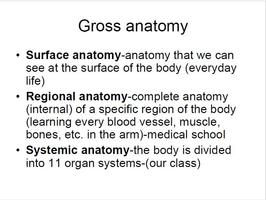برنامه‌نما Anatomy عکس از صفحه