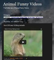 Animal Funny Video Collection ảnh chụp màn hình 1