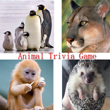 Animal Trivia Game