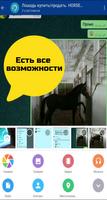 Ат Базар! Купля продажа лошадей в Азии HorseMarket Affiche