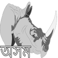 Axom Browser