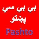 Pashto News-Global Media APK