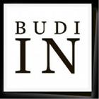 BUDI.IN icon