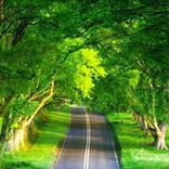 Beauty Of Kishtwar