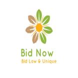 BidNow