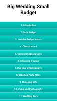 Big Wedding Small Budget 海報