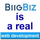 Icona BiigBiz onlineshop Development