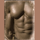 Bodybuilding Fitness Program icon