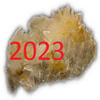 Bor 2023 icône